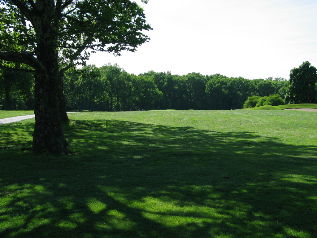 305-0545_IMG.JPG